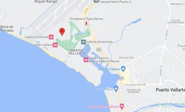FLAMINGOS, PTO VALLARTA