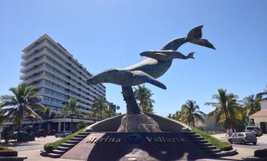 FLAMINGOS, PTO VALLARTA