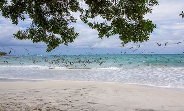 Propiedad a Pie de Playa, Punta Mita, Kupuri, Riviera Nayarit