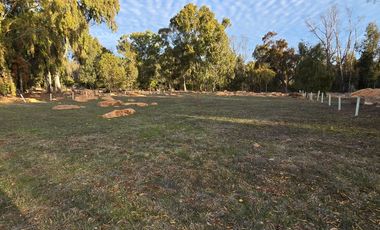 Santa Adela de Quintero, Parcelación