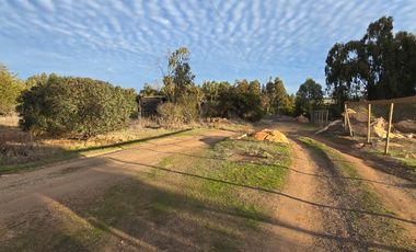 Santa Adela de Quintero, Parcelación