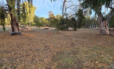 Santa Adela de Quintero, Parcelación