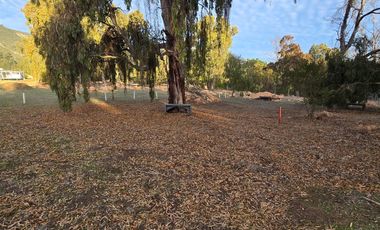 Santa Adela de Quintero, Parcelación