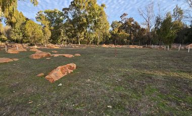 Santa Adela de Quintero, Parcelación