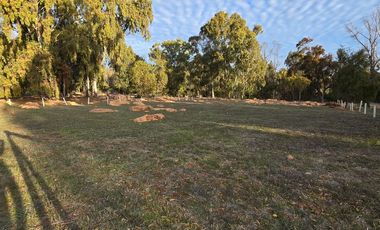 Santa Adela de Quintero, Parcelación