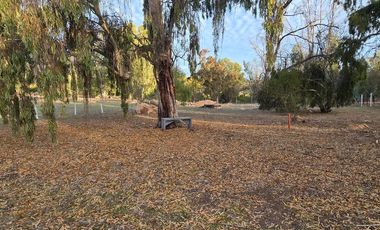 Santa Adela de Quintero, Parcelación