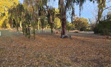 Santa Adela de Quintero, Parcelación