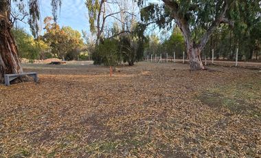 Santa Adela de Quintero, Parcelación