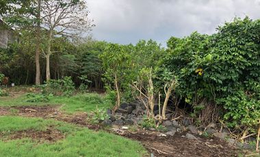 Freehold - Rare Opportunity! Land in commercial located in Ubung Kaja, Denpasar Utara, Bali