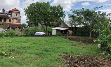 Freehold - Rare Opportunity! Land in commercial located in Ubung Kaja, Denpasar Utara, Bali