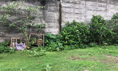 Freehold - Rare Opportunity! Land in commercial located in Ubung Kaja, Denpasar Utara, Bali