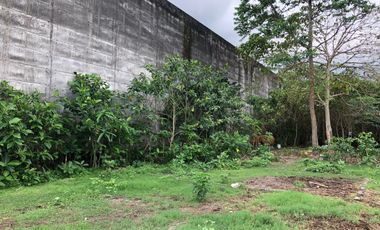Freehold - Rare Opportunity! Land in commercial located in Ubung Kaja, Denpasar Utara, Bali