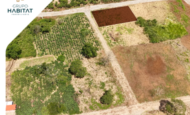 Terreno en venta en Logroño, Morona Santiago, Facilidades de pago