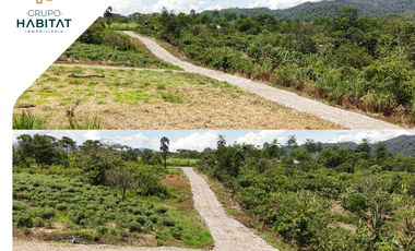 Terreno en venta en Logroño, Morona Santiago, Facilidades de pago