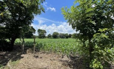 Se Vende Lote con Construcción