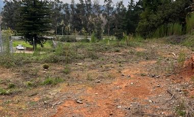 SITIO EN LA RESERVA DE MITRINHUE