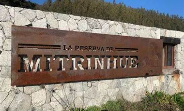 SITIO EN LA RESERVA DE MITRINHUE