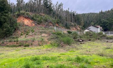 SITIO EN LA RESERVA DE MITRINHUE