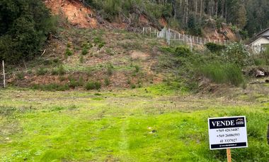 SITIO EN LA RESERVA DE MITRINHUE