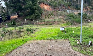 SITIO EN LA RESERVA DE MITRINHUE