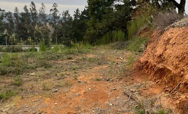 SITIO EN LA RESERVA DE MITRINHUE