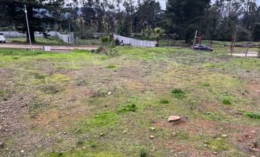 SITIO EN LA RESERVA DE MITRINHUE