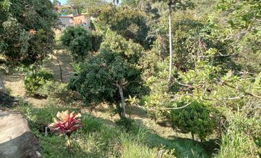 Venta Finca Casa Finca Angelópolis Antioquia