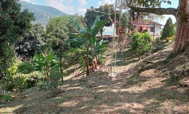 Venta Finca Casa Finca Angelópolis Antioquia