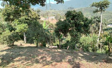 Venta Finca Casa Finca Angelópolis Antioquia