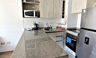 En arriendo departamento amueblado, colo colo playa Villarrica