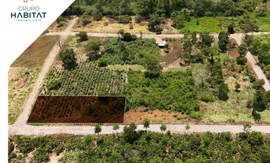 Terreno en venta en Logroño, Morona Santiago, Facilidades de pago, Amazonía Ecuatoriana, Sucúa