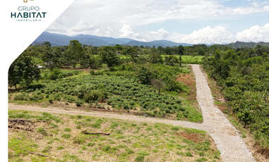 Terreno en venta en Logroño, Morona Santiago, Facilidades de pago, Amazonía Ecuatoriana, Sucúa