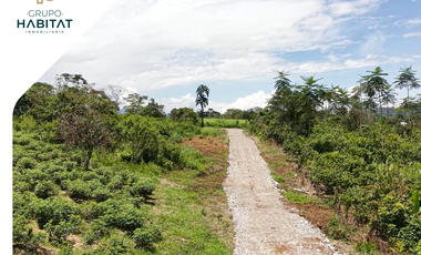 Terreno en venta en Logroño, Morona Santiago, Facilidades de pago, Amazonía Ecuatoriana, Sucúa