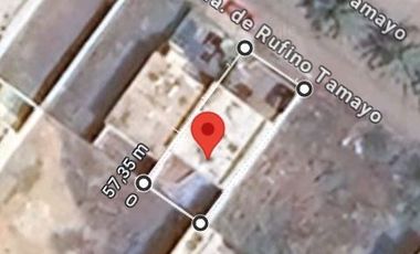 Cda. de Rufino Tamayo