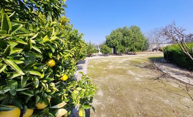 Espectacular Casa en Parcela en Condominio El Algarrobal, calle Pajaritos, Malloco, comuna de Peñaflor.