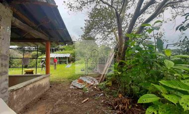 VENTA PEQUEÑA FINCA FILANDIA QUINDÍO