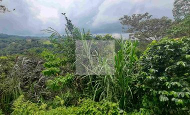 VENTA PEQUEÑA FINCA FILANDIA QUINDÍO