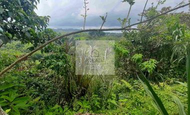 VENTA PEQUEÑA FINCA FILANDIA QUINDÍO