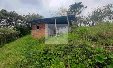 VENTA PEQUEÑA FINCA FILANDIA QUINDÍO