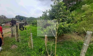 VENTA PEQUEÑA FINCA FILANDIA QUINDÍO