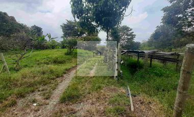 VENTA PEQUEÑA FINCA FILANDIA QUINDÍO