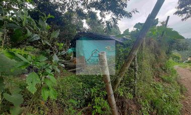 VENTA PEQUEÑA FINCA FILANDIA QUINDÍO