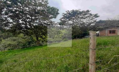 VENTA PEQUEÑA FINCA FILANDIA QUINDÍO