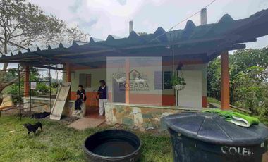 VENTA PEQUEÑA FINCA FILANDIA QUINDÍO