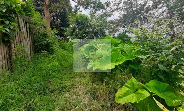 VENTA PEQUEÑA FINCA FILANDIA QUINDÍO