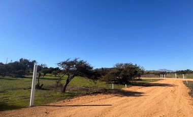 LIMACHE BONITA PARCELA ORILLA CAMINO
