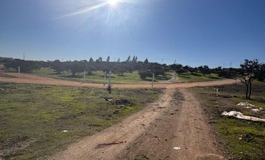 LIMACHE BONITA PARCELA ORILLA CAMINO