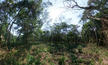 Venta de terreno rústico en San Andrés Tlalnelhuayocan