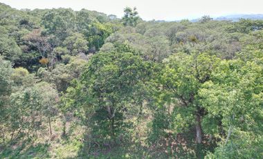 Venta de terreno rústico en San Andrés Tlalnelhuayocan
