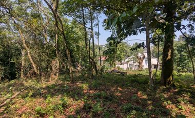 Venta de terreno rústico en San Andrés Tlalnelhuayocan